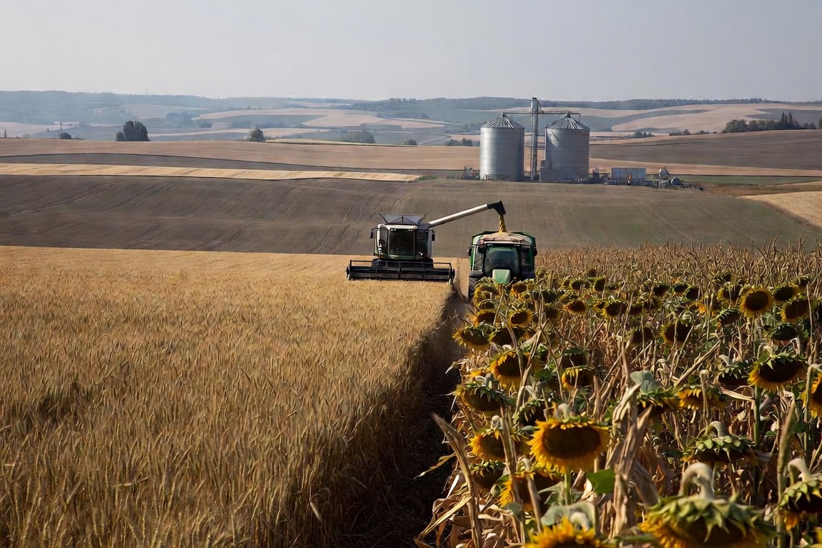 Producția agricolă în 2025: ce arată recoltele
