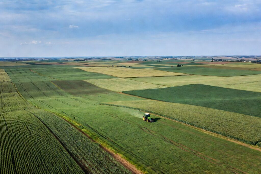 Suprafețe agricole declarate în campania APIA 2026, cu terenuri cultivate și exploatații agricole