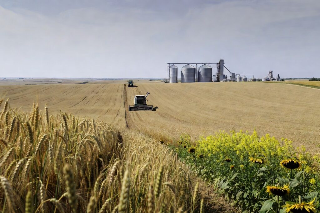 Exploatație agricolă de mari dimensiuni din vestul României, cu culturi, utilaje și silozuri